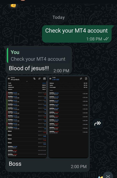 Neme Made 100% of his account in less than 15 min